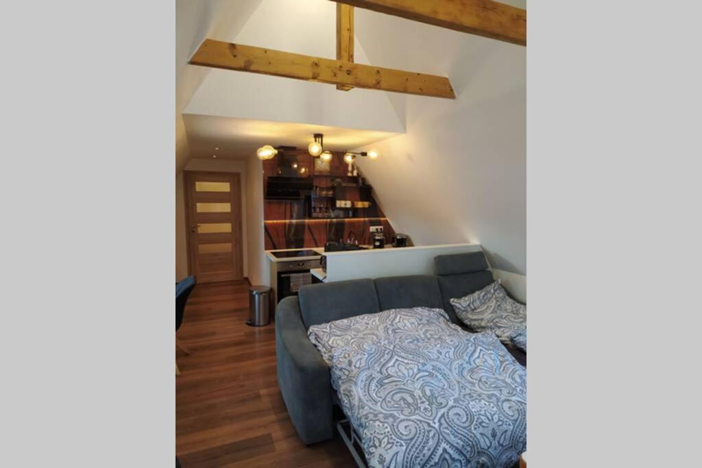 Apartman Atelier Vary V Nove Zrekonstruovanem Dome Карлові Вари Екстер'єр фото