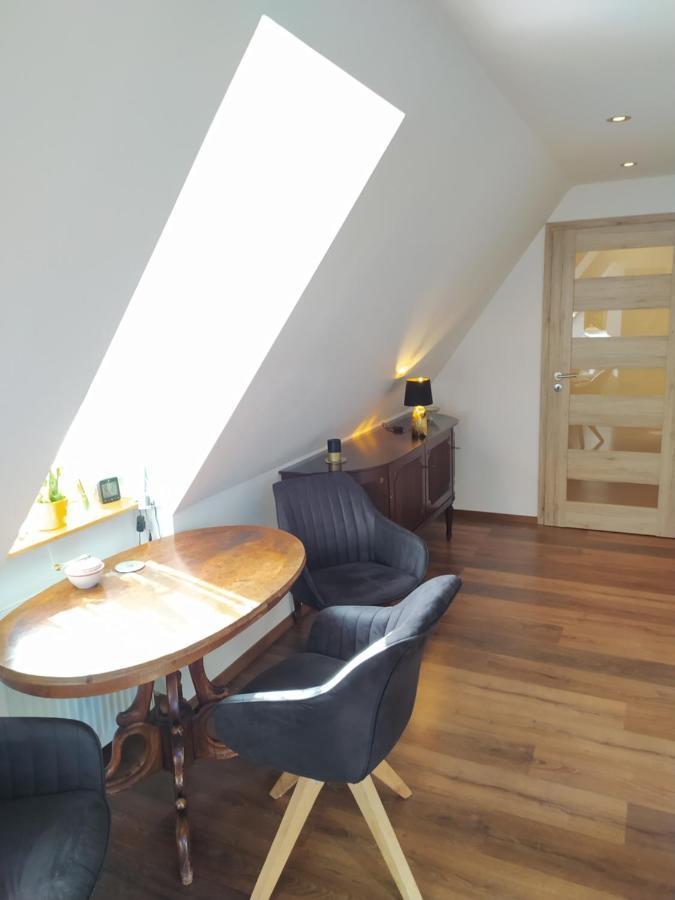 Apartman Atelier Vary V Nove Zrekonstruovanem Dome Карлові Вари Екстер'єр фото